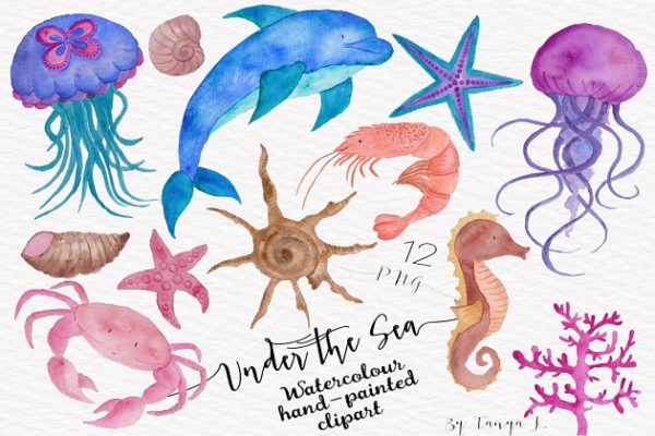 海洋生物水彩插画汇总 Under the Sea Watercolor Collection