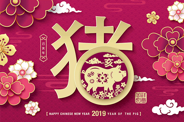 富贵的春节新年猪年红包矢量素材精选[Ai]