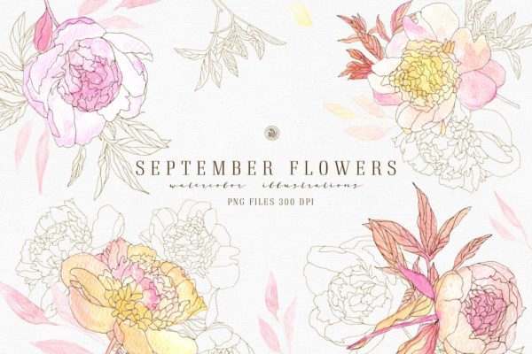 九月淡雅风水彩手绘花卉插画素材精选v2 September Flowers vol.2