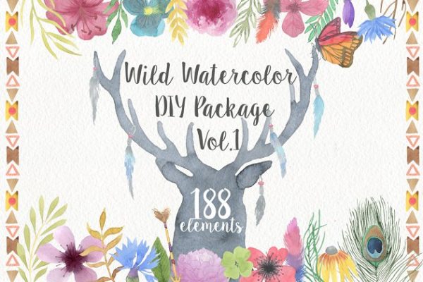 手绘水彩野生动植物插画素材精选 Wild Watercolor DIY Pro