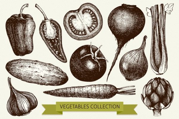 复古风格蔬菜插画素材精选 Vintage Vegetables Collection