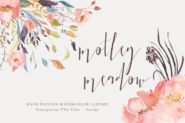 混色水彩花卉剪贴画 Watercolor Floral Clipart – Motley