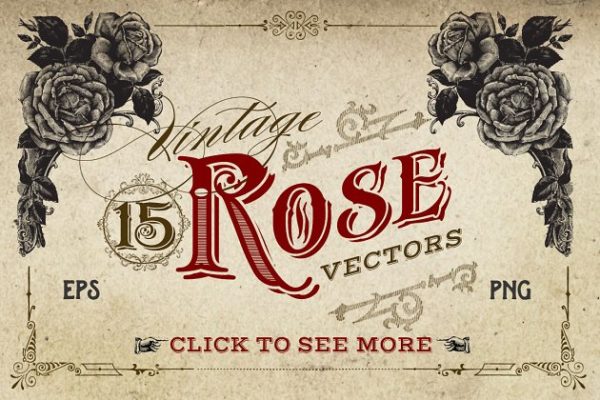 复古冷艳手绘玫瑰矢量插画 Vintage Rose Vector Graphics