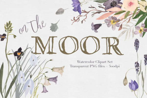 淡雅手绘水彩花卉剪贴画汇总 On the Moor Watercolor Florals