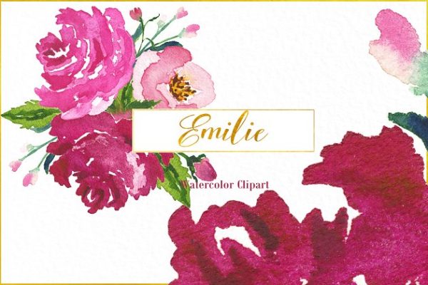 浪漫水彩紫红玫瑰花剪贴画 Emilie. Fuchsia roses watercolor