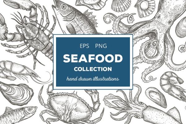 复古粗略风格的手绘海鲜插图汇总 Seafood Illustrations