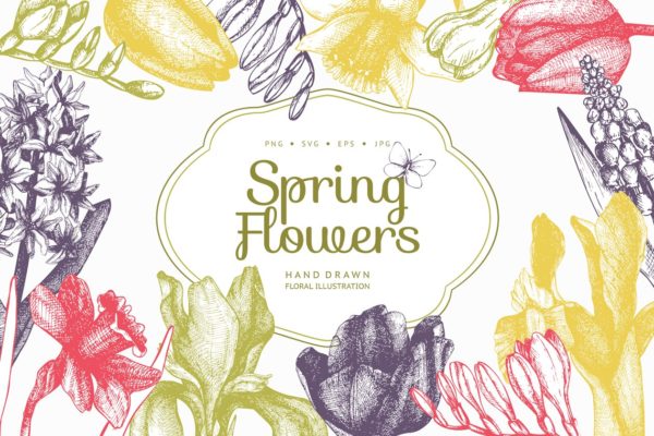 复古手绘春季花卉插图 Vector Flowers Collection