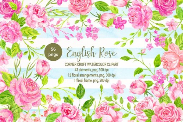 美丽浪漫的英国传统玫瑰剪贴画汇总 Watercolor English Rose Clipart