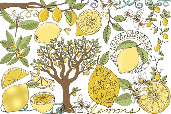 新鲜夏天柠檬插图汇总 Lemons, Summer Fruit Illustrations