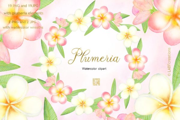 柔和优雅的手绘水彩热带花卉剪贴画 Plumeria Tropical watercolor flowers