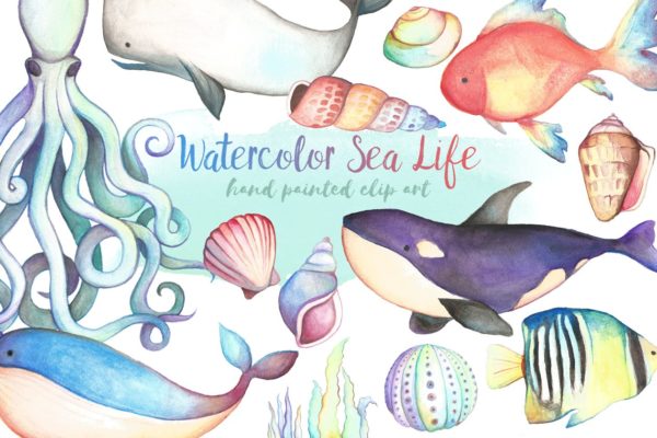 手绘水彩海洋生物设计元素 Watercolor Sea Life Clipart Bundle