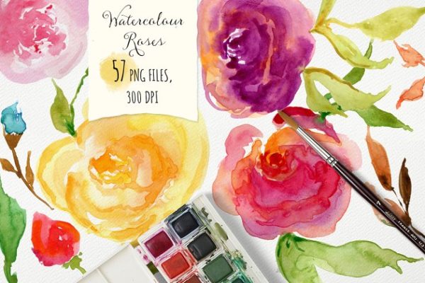 手绘水彩玫瑰图形元素 Watercolor Roses DIY