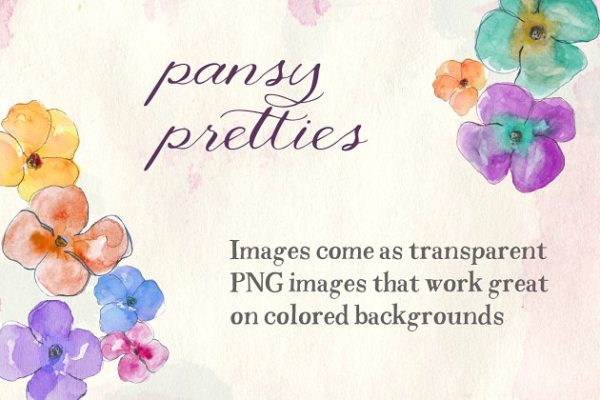 漂亮的手绘水彩三色紫罗兰插画素材精选 Watercolor Pansies
