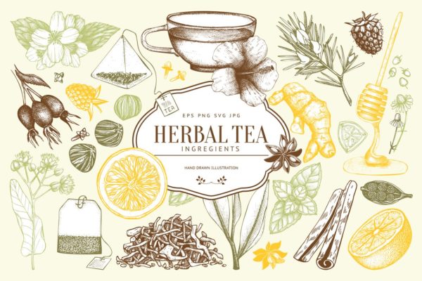 老式凉茶草药成分矢量插图汇总 Vector Herbal Tea Ingredients Set