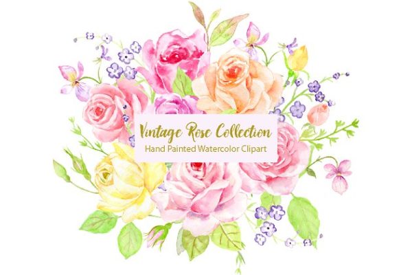 经典手绘水彩玫瑰元素汇总 Watercolor Classic Vintage Rose