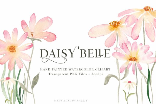 独立手绘花卉树叶图像 Daisy Belle – Watercolor Flowers