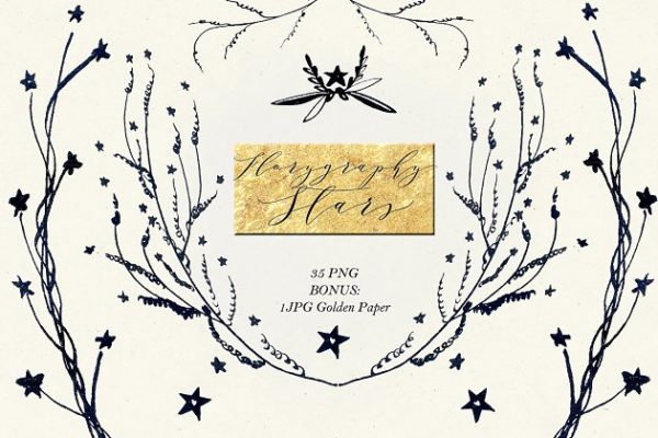 水墨手绘繁星花卉剪贴画 Florygraphy STARS. Ink images