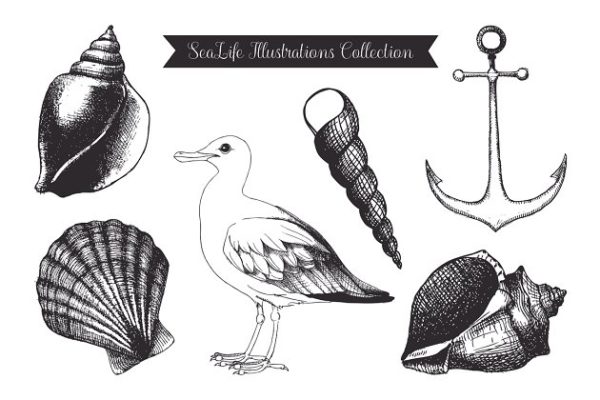 复古墨水手绘海洋生物插图 Vintage Sea Designs & Patterns