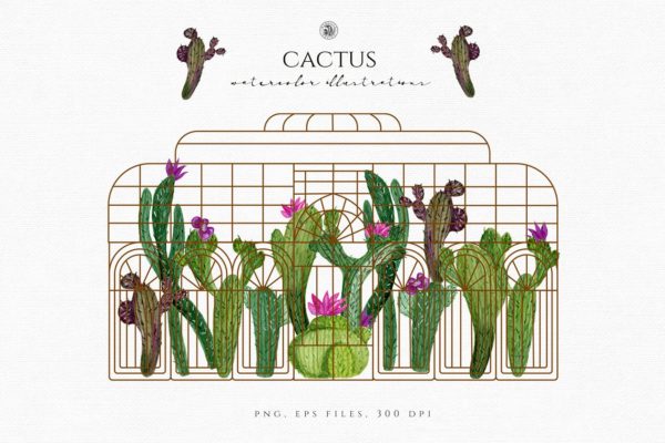 水彩仙人掌插图汇总 Cactus watercolor illustrations