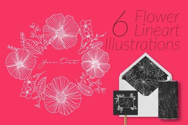 6个极简主义描线花卉插画 6 Flower Lineart Illustrations