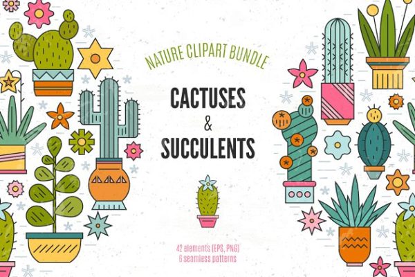 仙人掌多肉盆栽植物插画素材精选 Succulent Clipart & Patterns Bundle