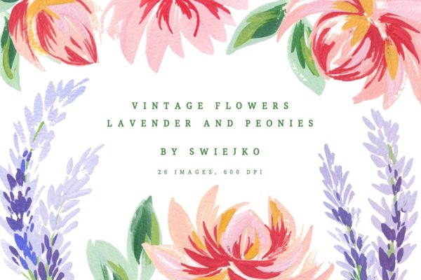古典手绘牡丹薰衣草插画素材精选 Lavender & Peonies, vintage flowers