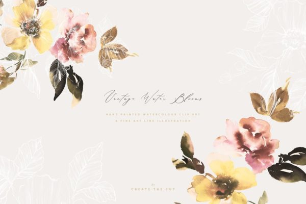 柔和优雅的水墨花朵矢量插画系列 Vintage Water Blooms