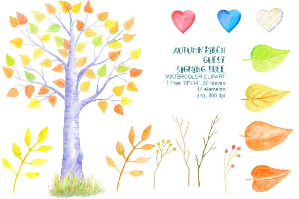 水彩秋季桦木客人签名树插画 Autumn Birch Guest Signing Tree