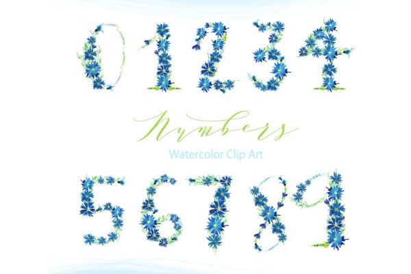 浪漫乡村手绘蓝色矢车菊数字水彩画 Cornflower number watercolor clipart