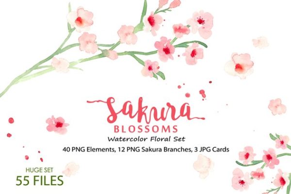 水彩樱花花卉插画素材精选汇总 Sakura Blossoms – Watercolor Clipart