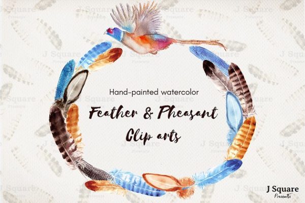 彩色水彩山鸡羽毛剪贴画 Watercolor Feather Clip Arts