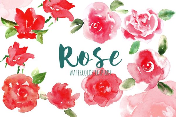 血红色水彩玫瑰花剪贴画 Red Rose. Watercolor clip art