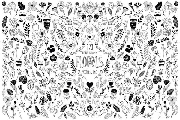 120款美丽的手绘花卉设计元素 120 Hand Drawn Florals Vector & PNG