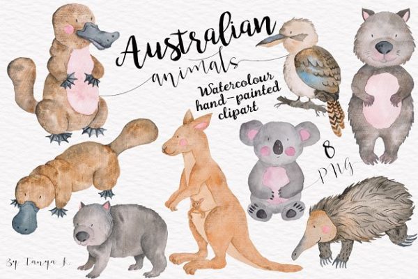 澳大利亚动物水彩剪贴画汇总 Australian Watercolor Animals Set