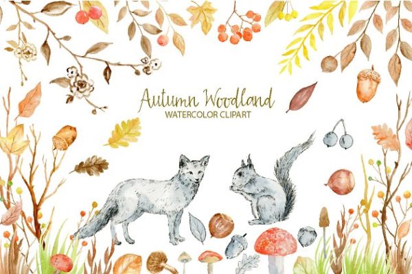 水彩秋季林地剪贴画汇总 Watercolor Clipart Autumn Woodland