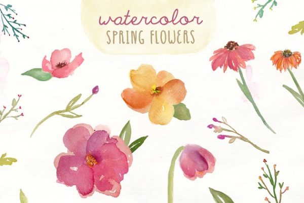 浪漫春季水彩花卉剪贴画 Watercolor Spring Flowers
