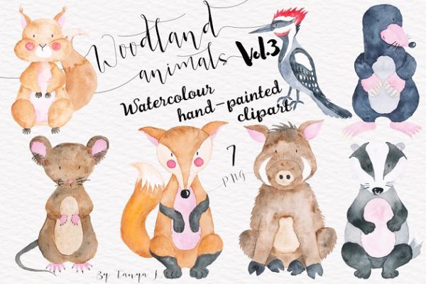 手绘水彩林地动物设计插画素材精选 Woodland animals Vol.3 Set