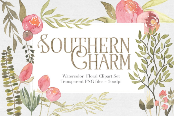 水彩手绘粉色调搭配花卉剪贴画 Southern Charm Floral Clipart Set