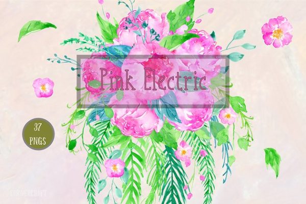 粉色水彩花卉剪贴画 Watercolor Clipart Pink Electric