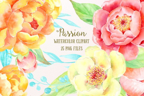 激情水彩牡丹插画艺术汇总 Watercolor Clipart Peony Passion