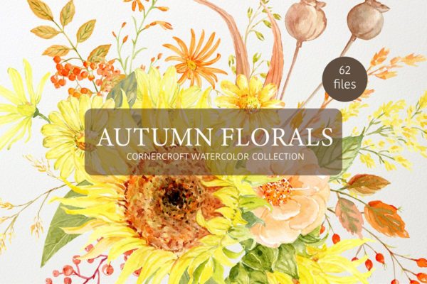 秋天花卉水彩绘画艺术设计素材精选 Watercolor Autumn Florals Collection