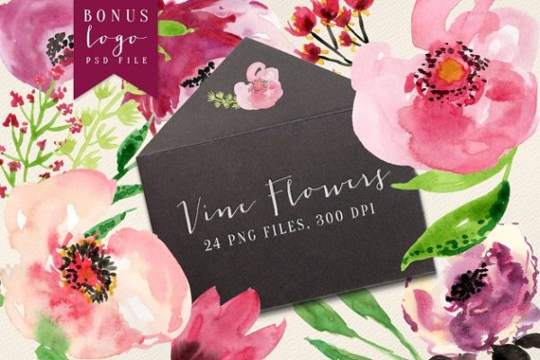 手绘水彩花卉植物图形元素 Vine Flowers