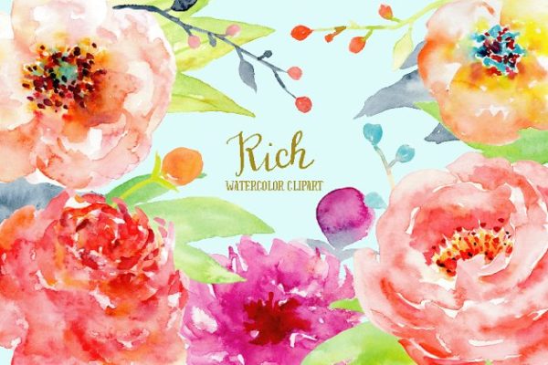 抽象彩色牡丹装饰元素水彩素材精选 Watercolor Peony Clipart Rich