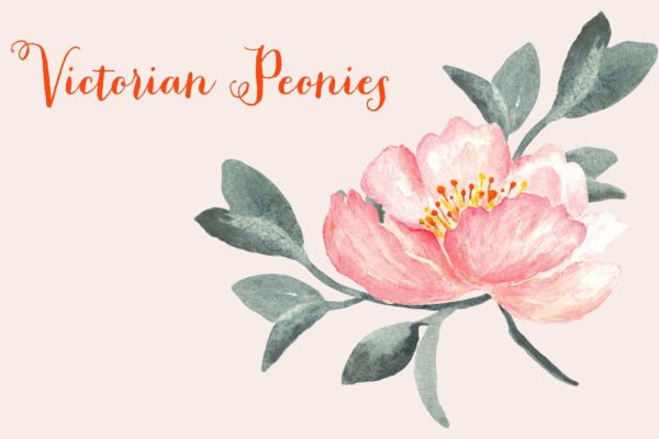 维多利亚时代水彩艺术牡丹剪贴画素材精选 Peony Victorian Watercolor Clipart