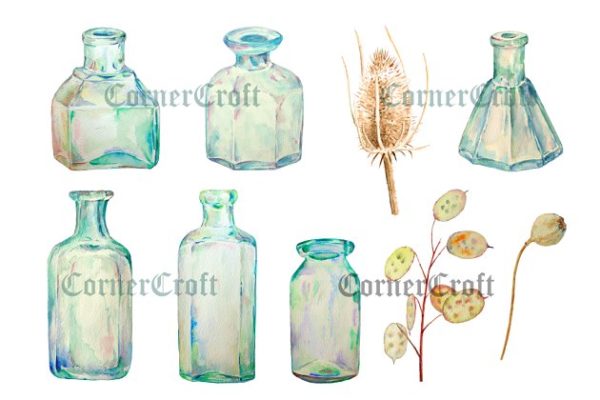 复古手绘葡萄酒瓶水彩剪贴图像素材精选 Watercolor Vintage Bottle Dry Flower