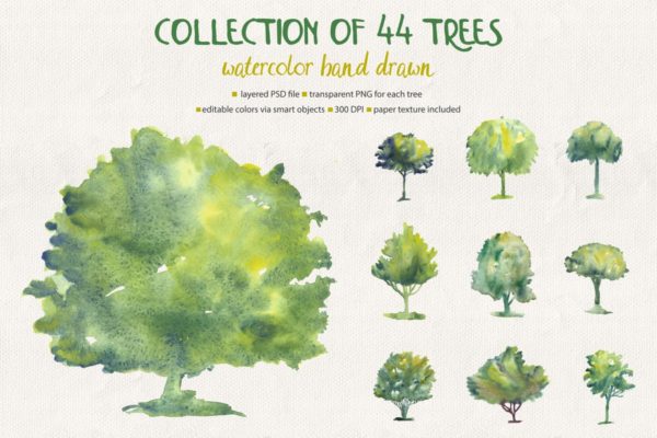 44款水彩手绘树木艺术插画 Collection of 44 Watercolor Trees