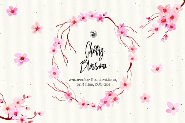 樱花水彩手绘插画设计素材精选 Cherry Blossom Flowers
