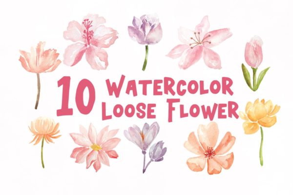 盛开的花卉水彩插画元素汇总 10 Watercolor Loose Flowers Illustration Graphics