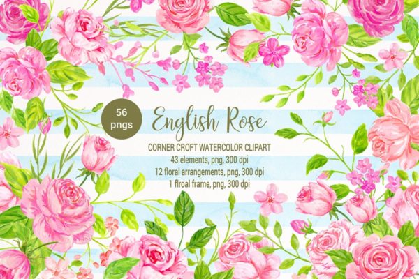 英国玫瑰水彩剪贴画素材精选 Watercolor Clipart English Rose