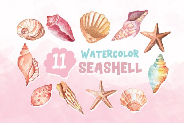 11款水彩贝壳插画汇总 11 Watercolor Seashell Illustration Graphics